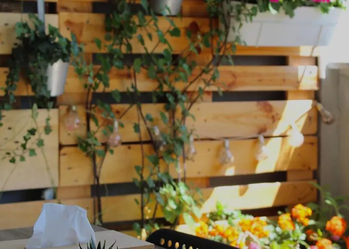 Donatella 公寓 波雷奇