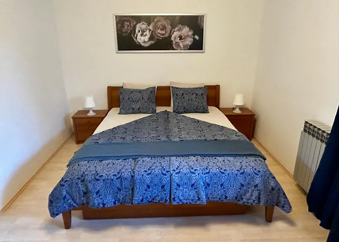 Donatella * 波雷奇